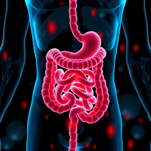 Urolithin A Boosts Gut Immunity And Barrier Function 1782221499