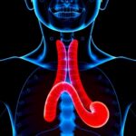 80 Yaş Üstünde Küratif Özofajektomi Mümkün mü? Yeni çalışma kısa dönem sonuçların yolunu aydınlatıyor