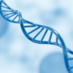 Acmg Releases Updated Guidelines For Reporting Variants Of Uncertain Significance In Genetic Testing 1782924691