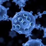 Author Correction Cryopreserved Stem Cells Directly Inoculated In Bioreactors 1782930632