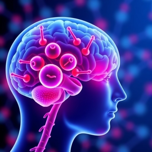 Csf Turnover Dysfunction Early Irbd Biomarker 1782974128