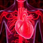 Cardiac Sympathetic Loss Reveals Lewy Body Timeline 1782966243