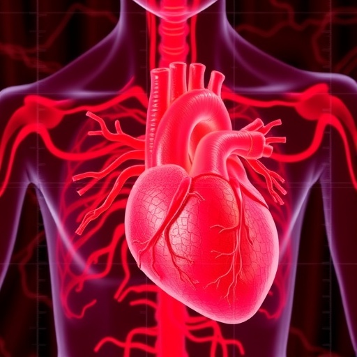 Cardiac Sympathetic Loss Reveals Lewy Body Timeline 1782966243