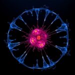 Dual Tumor Myeloid Targeting With Gpnmb Car T 1782962550