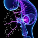 Fixing Congenital Acetylcholine Receptor Defects 1782942446