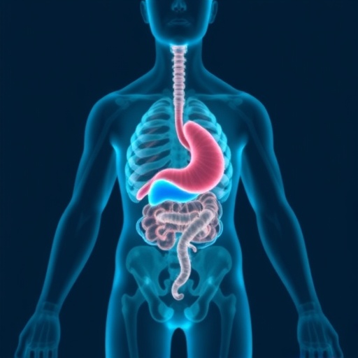 Gut Microbiome The Secret Architect Shaping Liver Cancer Immunotherapy Outcomes 1782872200