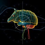 Hippocampal Theta Sweeps Reveal Navigation Goals 1782927326