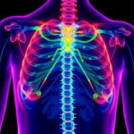 How 45S5 Bioactive Glass Targets Bone Tumors 1782921104