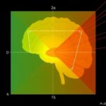 How Goal Directed Are Hippocampal Theta Sweeps 1782910860