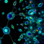 Mapping Human Stem Cells With Genome Scale Crispri 1782915056