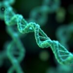 New Study Reveals How Junk Dna Fuels Cancer Growth 1782929679