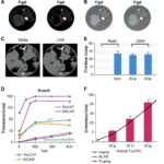 Wnt Signaling Fuels Stemness In Smarca4 Deficient Tumors 1782886767