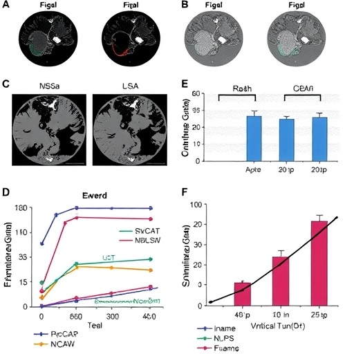 Wnt Signaling Fuels Stemness In Smarca4 Deficient Tumors 1782886767