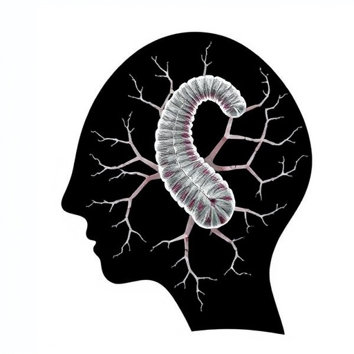 Advances And Challenges In Placenta Models For Hiv 1 Art And Nicotine Research 1783989317
