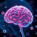 Benserazid’in beyne geçişi Parkinson’da levodopa yanıtıyla ters orantılı çıktı