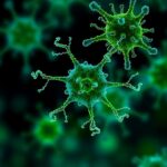 CRISPR sistemi, bakterilerin birbirine gömülü bağışıklık silahlarını birlikte çalıştırıyor