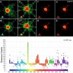 DeChIC-seq ile tek hücrede DNA-Protein temasları ve kromatin izlerini haritalama dönemi