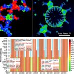 DeepDETAILS ile toplu doku verilerinden hücre tipi düzeyinde gen düzenlemesinin taban çifti çözünürlüğünde yeniden inşası