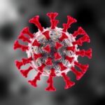 Dengue virüsü “koruyucu antikor” üreten hücreleri de etkiliyor: Bellek B hücrelerinde çoğalma gösterildi