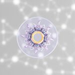 Encellins Diabetes Implant Shows Non Fibrotic Engraftment In Phase 1 1783536519