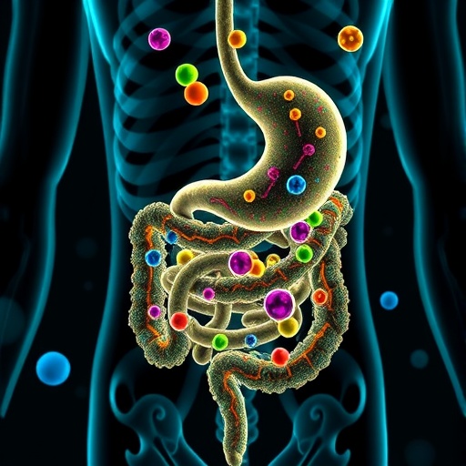 Fasting Boosts Gut Microbiome For Better Intestinal Recovery Post Radiation 1783640655