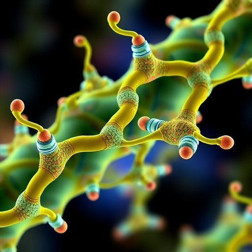 Fonksiyonel lipid problarıyla hücre içi lipid–protein temaslarını yakalama: yeni bir protokol