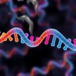 Germline genler, aynı DNA hasarından çıkan tümörlerin “izini” belirleyebilir