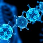 İnsilico, ISM6331 için FDA Fast Track onayı aldı: ilerlemiş mezotelyomda pan-TEAD hedefi