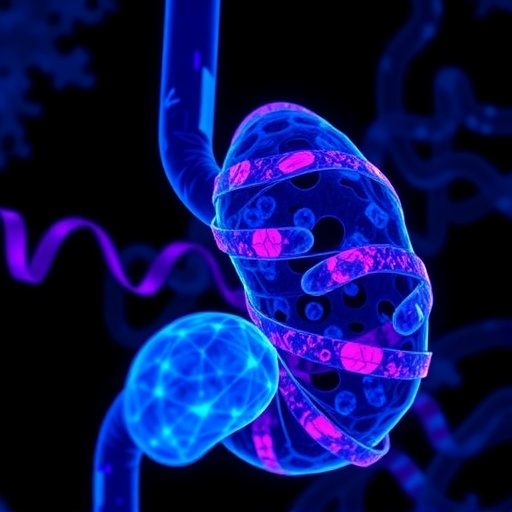 IRP1–ARID3A ekseni, pankreas kanserinde epigenetik ferroptoz frenini güçlendiriyor