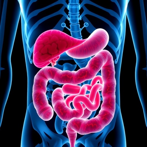 Ketojenik diyet bağırsak tümörlerini artırabilir mi? Yeni bulgular ketonlardan çok yağ metabolizmasını işaret ediyor
