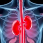 Kidney Transplant Outcomes In Older Adults Studied By German Researchers 1783362378
