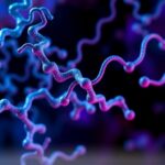 lncRNA’ların saklı protein şifreleri kanserin yayılmasına nasıl katkı sağlayabilir?