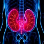 Mayo Clinic öncülüğündeki faz 3 çalışma: BCG’ye yanıtsız yüksek risk mesane kanserinde “mesaneyi koruma” olasılığı