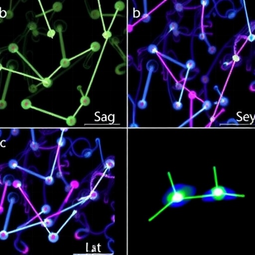 Nanoiğne dizileriyle DNA okumasız uzamsal gen düzenleme haritalaması: taze dokuda post-transkripsiyonel sinyaller