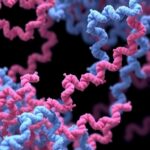 Nature’da yayımlanan yeni çerçeve: Dağınık proteinlerde sıra–işlev bağını hesaplamayla yakalamak