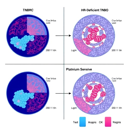 Olaparib Benefits Hr Deficient Tnbc And Platinum Sensitive Ovarian Cancers 1783564457
