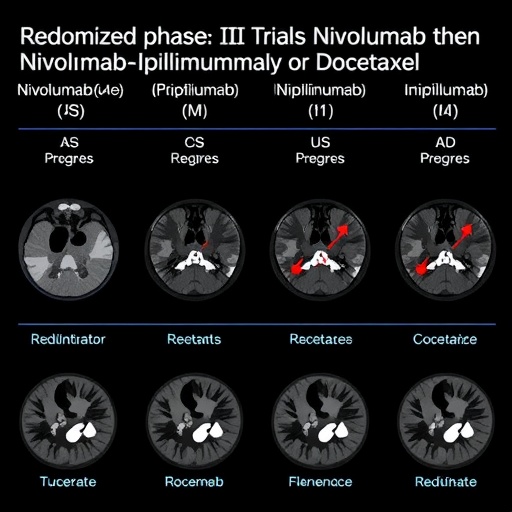 OPTIM çalışması: Nivolumab sonrası ilerleme olursa bağışıklık kombinasyonu mu kemoterapi mi?