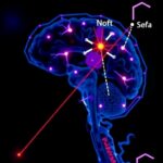 Parkinson’da motor öncesi yükü izlemek için beyin kökenli veziküllerde oligomerik alfa-sinüklein işareti
