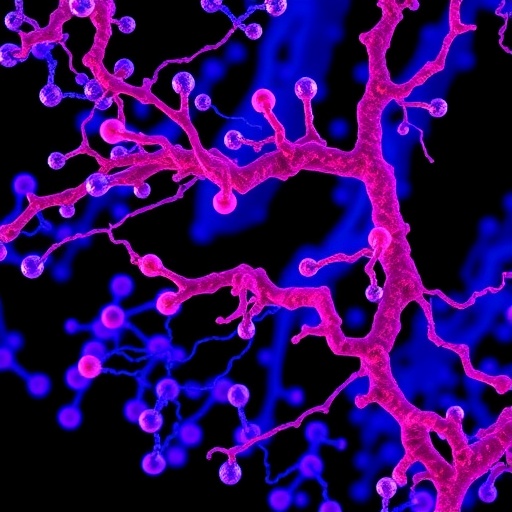 Proteomic Analysis Identifies Prognostic Subgroups In Smarca Deficient Esophagea 1783545986