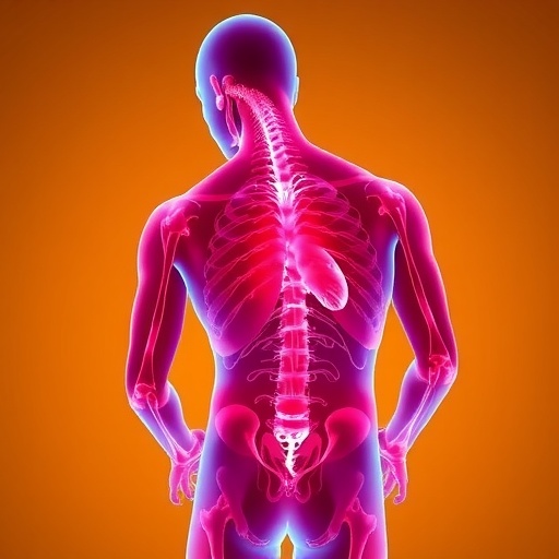 Reducing Muscle Stiffness Could Help Myotonic Dystrophy Patients 1784000123