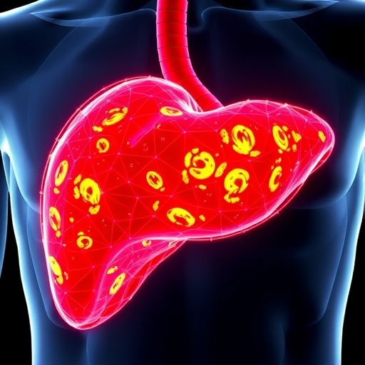 Sanal hastalarla kılavuzlanan ‘dijital tümör’ yaklaşımı: Hepatosellüler kanserde immünoterapiye yanıt öngörüsü