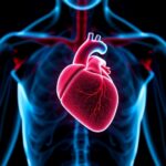 SGLT2 inhibitörlerinin kalp ve böbrek koruması: Empagliflozin için çoklu yolaklar vurgulandı