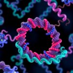 Spop Double Donut Structure Reveals Cause Of Cancer Mutations 1783991718