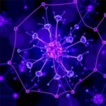 Tek hücreli çoklu-omik yaklaşım TNBC’de fibroblastların “myofibro-inflamatuvar” programını haritaladı