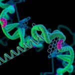 Trypanosome mitokondrilerinde RNA düzenleme akışının “editosome” mimarisi ilk kez bu kadar net