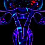 Tumor Profiling Reveals Chemotherapy Effects And Personalized Treatments For Ova 1783989626