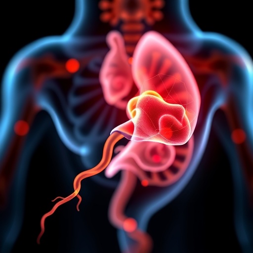 Umea Research Paves Way For Metastatic Prostate Cancer Drug 1783454295