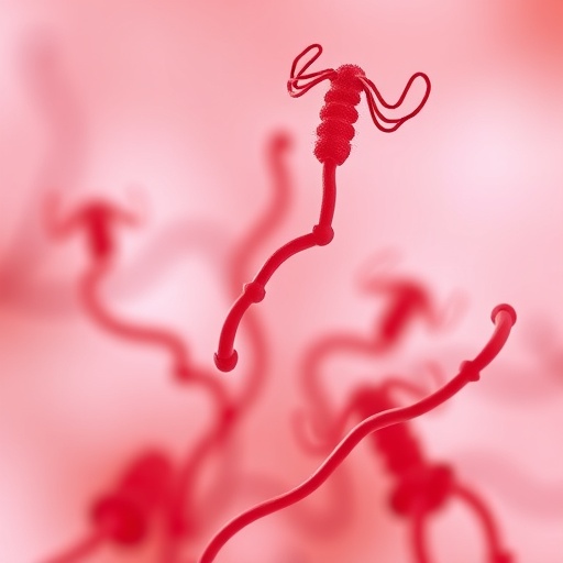 Veillonella Ratti Alters Gut Microbiome To Prevent Eae Disease Progression 1784034572